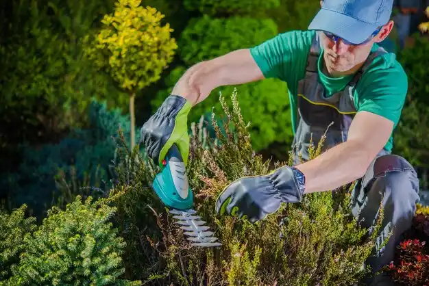 landscaping services Douglass Hills